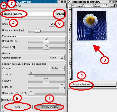 xscanimage